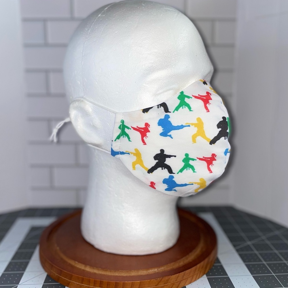 Martial arts facemask taekwondo